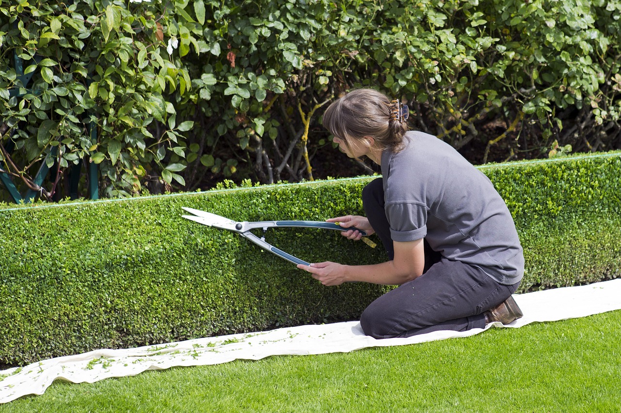 Kamloops landscaper pruning residential garden