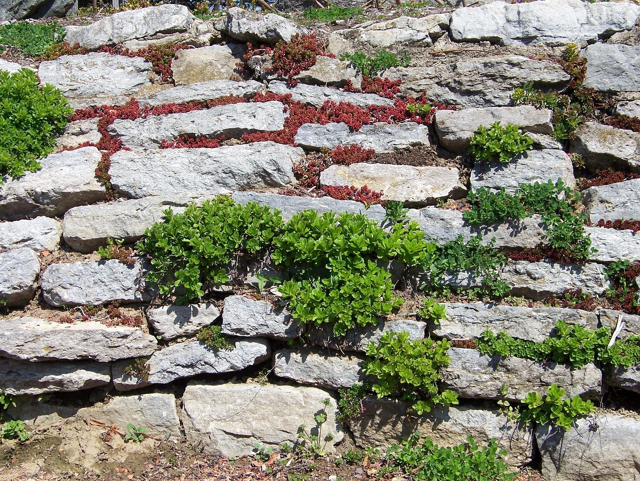 Kamloops landscape retaining wall planted yard