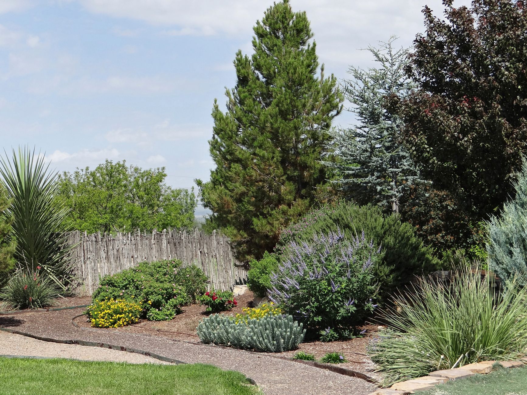 Kamloops maintained landscape patio garden
